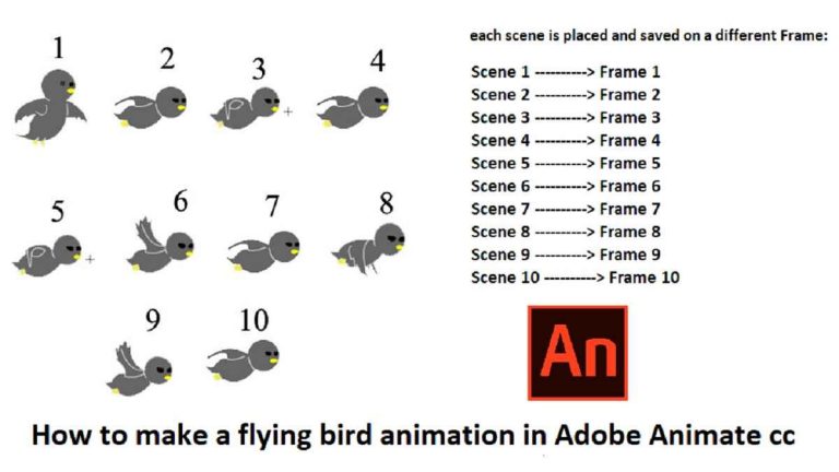 How to make a flying bird animation in Adobe Animate cc