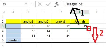 Cara Menjumlahkan ke Bawah di Excel