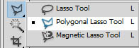 Polygonal Lasso Tool Photoshop