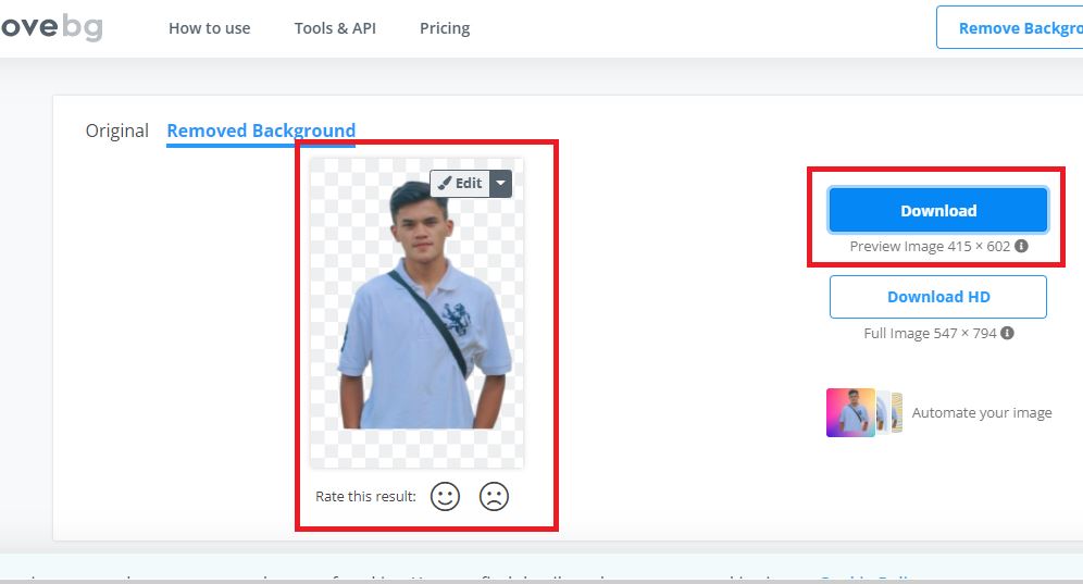 Tutorial Hapus Latar Belakang Foto Online Gratis dan Otomatis