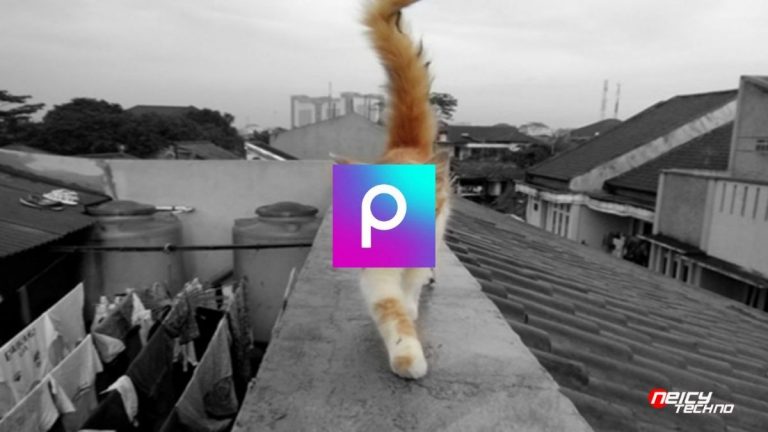 Cara Membuat Background Hitam Putih Di Picsart Terbaru 2022