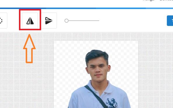 Cara Mirror Foto Secara Online Tanpa Aplikasi