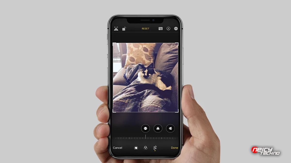 5 Rekomendasi Aplikasi Crop Foto iPhone Terbaik