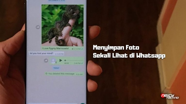 Cara Menyimpan Foto Sekali Lihat di Whatsapp